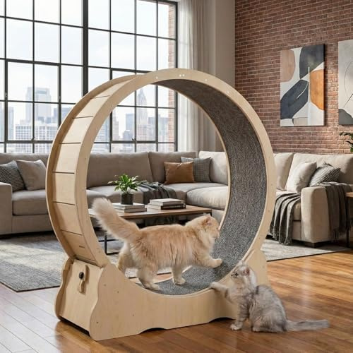 Keyzone 1100 x 345 x 1170 mm Laufrad Laufband für Katzen, Laufband mit Teppichboden, Fitnessgerät zur Gewichtsabnahme, Sportspielzeug für Katzen, für EIN längeres Leben der Katze