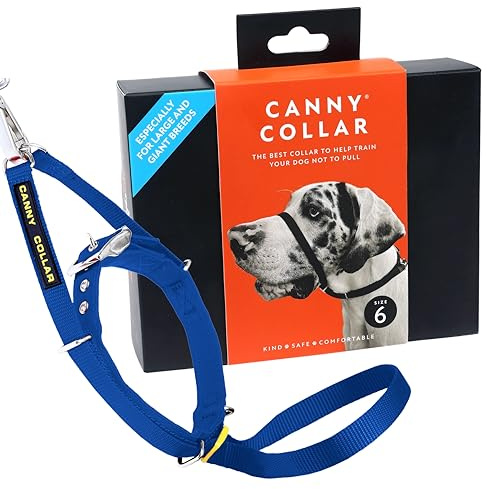 Canny Collar Anti-Zug Kopfhalfter für Hunde gegen Ziehen, Blau Größe 6 | Für bessere Leinenführigkeit, lockeres Laufen an der Leine, mehr Kontrolle & entspannte Spaziergänge ohne harte Korrektur.