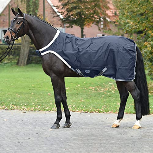 Führanlagendecke WALKING 100