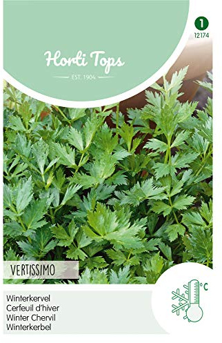 Hortitops 12174 Kerbel Vertissimo Winter (Kerbelsamen)