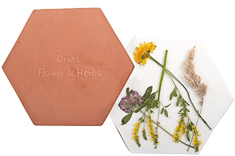 Fallen Fruits Esschert Design Blumen und Kräuterpresse Mikrowelle Wildblumen Kräuter