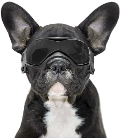 BillionChains Hundebrille mit verstellbarem Riemen, Hundesonnenbrille, UV-Schutz, Winddicht, Hundebrille für Hunde, Schwarz