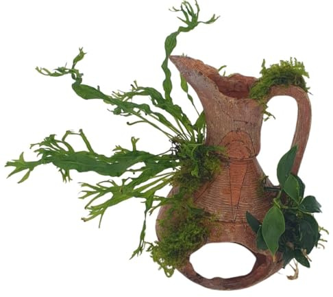 Aquarium Deko Amphore 15×10 cm – Polyresin Krug mit Henkel, bepflanzt mit echten Wasserpflanzen (Anubia, Moos, Farn) – Garnelenbäumchen