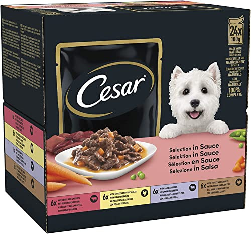 CESAR Adult Hundefutter nass - 2x24x100g Portionsbeutel - mit Rind, Huhn, Lamm und Truthahn - Hundenassfutter in Sauce - Ausgewogenes Premium Nassfutter für Hunde - 2er Pack