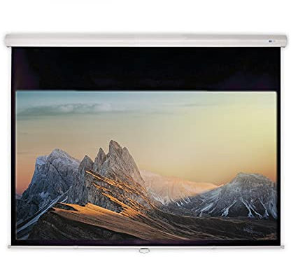 DELUXX Advanced Rolloleinwand Slowmotion 171 x 128cm