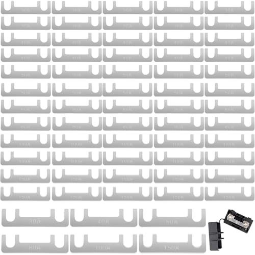 60 Stk Streifensicherungen Blattsicherung, 30A, 40A, 50A, 80A, 100A, 150A Sicherungsstreifen Blattsicherung, Flachsicherungsstreifen, Auto Sicherung für PKW Wohnmobil