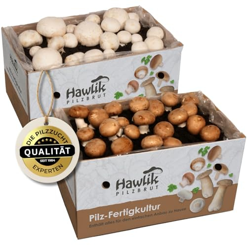 Hawlik Pilzbrut Champignon Pilzzuchtset Spar-Bundle XXL – 2 große Zuchtboxen für Steinchampignons und weiße Champignons – Pilze zuhause ohne Vorwissen oder Zubehör anbauen – etwa 6 kg Pilzernte!