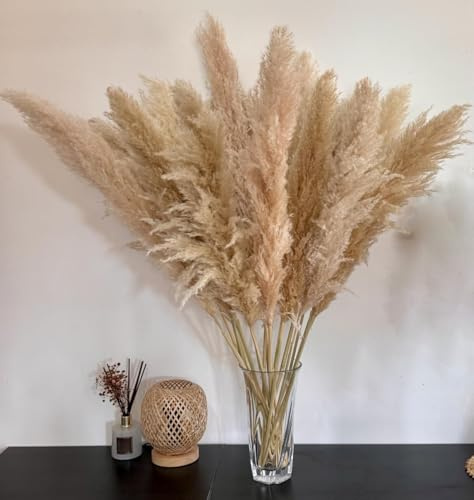 15 Stück 100cm Pampasgras Groß, Natürliche & Flauschige Trockenblumenstrauß Pampasgras XXL, für Boho-Wohnkultur, Wanddekoration, Tisch, Hochzeits, Schlafzimmer