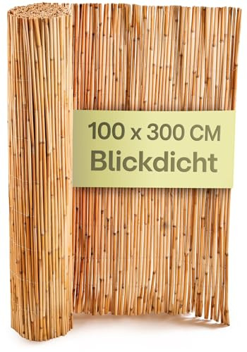 Praknu Schilf Balkon Sichtschutz Holz 100 x 300cm - FSC® Zertifiziertes Natürliches Schilf - Einsetzbar Im Innen Und Außenbereich - Zaun Sichtschutz für Balkon & Garten - Sichtschutz Zaun