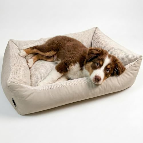 4L Textil Teo Kuscheliges Hundebett Hundekorb mittelgroße Hunde Hundekissen flauschig Hundekörbchen Hundesofa(60x40 cm, Beige)