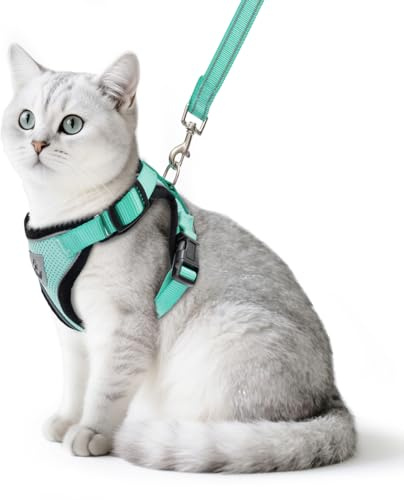PUPTECK Katzengeschirr und Leine Set Fluchtbeweis Reflektierendes Katzengeschirr Einstellbare Weiche Atmungsaktive Mesh-Weste f¨¹r kleine Haustiere, Aquamarin, S