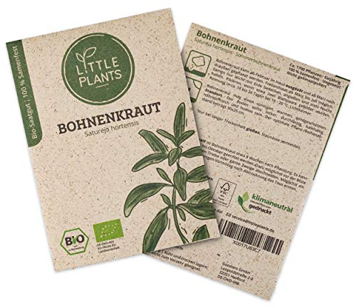 Little Plants BIO Bohnenkraut Samen, 500 Bohnenkrautsamen, hohe Keimrate, 100% Natürlich, BIO Samen Bohnenkraut für Kräutergarten Küchenkräuter Hochbeet – BIO Kräutersamen Nachhaltig