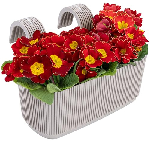 Konzept 11 Balkon Blumenkasten mit Halterung – 29 x 19 cm, Balkonkasten für Geländer, 3,2 L aus wetterfestem Kunststoff