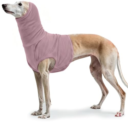 PUMYPOREITY Hundeloop, Hundebody Blutohr Othämatom Verband Kopf Hund Tier Schal Op Verhindert Kratzen Am Hals, Schutz Nach Halsoperationen(Lila, XL)