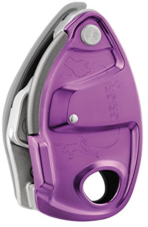 Petzl D13A VI
