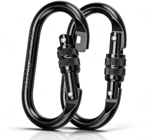 SHENGYIG 2 Stück Groß Legierter Stahl Schwerlast Karabiner, 11 x 5.9cm | Karabinerhaken Klettern, 25KN (2500KG) Sicherheitskarabiner, Schwarzer Federkarabiner für Bergsteigen, Schaukeln, Klettern