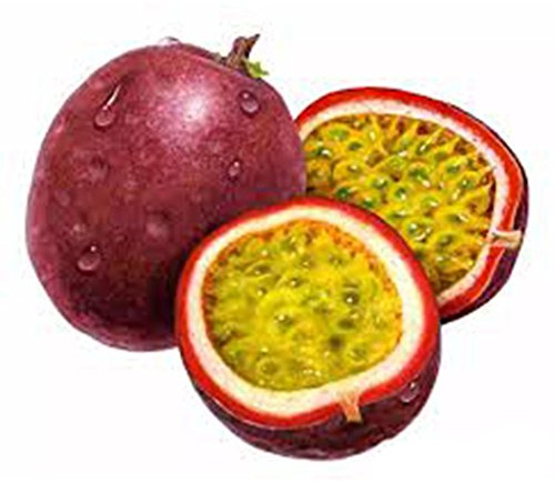 Cioler 20Samen Passionsfrucht Samen Maracuja Samen Obstsamen Obst Bäume Outdoor Obst Samen Fruchtsamen für Garten Pflanzen