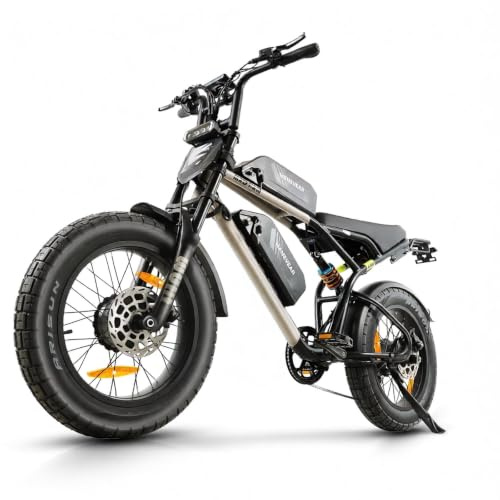 Elektrofahrrad, 20 Zoll E Bike Herren 160NM Doppelmotor | 2*20Ah Lithium Doppelbatterie EBIKE für Erwachsene, Vollgefedertes All-Terrain mit Hydr. Bremsen, Offroad E-Mountainbike, Elektro Motorrad