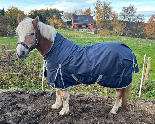 Brama-West Winterdecke Pferd Nell | Outdoordecke mit Highneck |1680D - 50g Füllung | Pferdedecke reisfest, wasserdicht und atmungsaktiv | Blau (135)