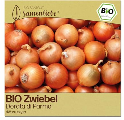Samenliebe BIO Zwiebel Samen | italienische Dorata di Parma - gelb - samenfestes BIO Saatgut