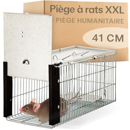 Praknu Rattenfalle Lebendfalle XXL 41 cm – Marder – Rattenkäfig Nagetiere | Fängt ohne Gift & Töten, extra groß, sofort einsatzbereit & wiederverwendbar, für Siebenschläfer & Mäuse