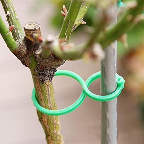 Namvo 100 Stück Kunststoff-Pflanzenklammern Pflanzenringe stabile Gartenblumen Stützklammern für die Sicherung von Pflanzen beim Aufwachsen