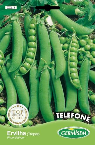 Germisem Erbsen TELEPHONE, mehrfarbig, XXL 3