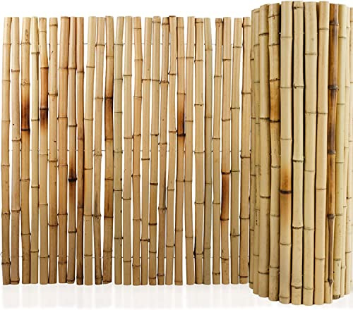 Floordirekt Bambus-Sichtschutzzaun 180 cm hoch x 200cm Naturmaterial Vollrohr Schilfrohrmatte | Schilfmatten Sichtschutz für Balkon, Terrasse oder Garten | Robust und witterungsbeständig
