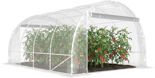 Outsunny Gewächshaus ca. 4 x 3 x 2 m Foliengewächshaus mit Breiter Rollbar Reißverschlusstür, Stützstangen Verlängerte Kanten 150g/m² PE UV-beständig Folientunnel, Winterfest Tomatenhaus, Transparent