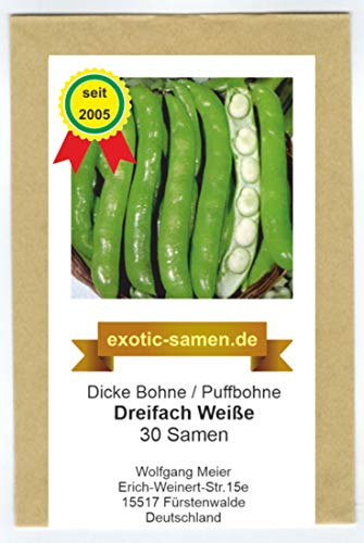 Dicke Bohne - Ackerbohne - Dreifach Weiße -samenfeste Sorte - 30 Samen