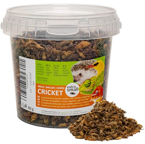 UGF - Getrocknete Kleine Grille - 80g im 500 Milliliter Eimer, Grillen Insekten, Vogelfutter Wildvögel Ganzjährig, Schildkröten Futter, Igelfutter, Eidechsenfutter, Fischfutter