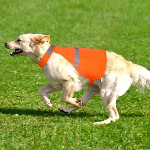 Warnweste Hund mit reflektierenden Elementen für Outdoor Aktivitäten Tag und Nacht, Verstellbar Sicherheitsweste für Hunde für Hält den Hund Sichtbar mehr Sicherheit im Dunkeln Orange XL