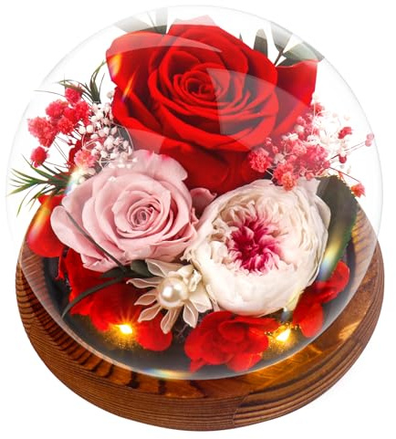 Touloube Rose Geschenke für Frauen, Ewige Infinity Rosen im Glas, Konservierte Blumen Geburtstagsgeschenk Mama Freundin,Geschenk für Frau Freundinnen Geburtstag für Jahrestag Geschenk für Sie, Rouge