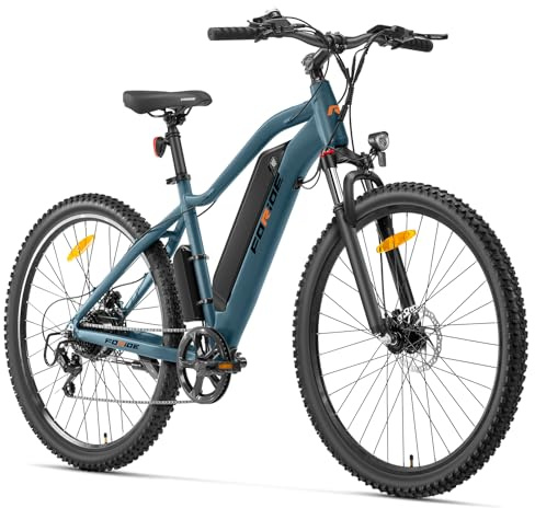 Foride Xtremer 3 29'' E-Bike für Erwachsene, Elektrofahrrad mit 48V 576Wh Akku, Hydraulische Scheibenbremse,120km Reichweite 7 Gang E Bike Herren Damen für Städtische Pendler und Fahrten im Freien