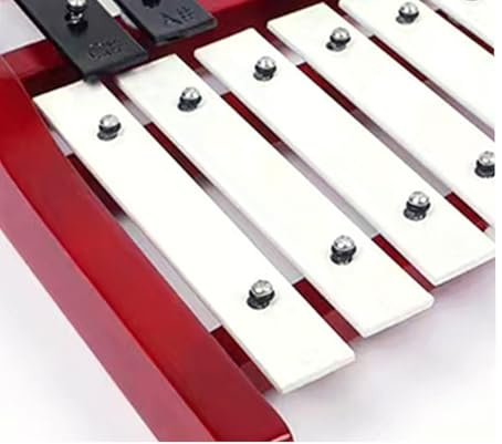 Xylophon Mit Metalltasten