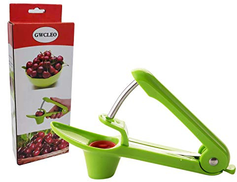 GWCLEO Kirschentkerner,Hand Obstentkerner mit Edelstahlstangen,Silikonhalter und Kunststoffgriff,Kirschentsteiner für Herstellung von Marmelade und Gelee (Grün)