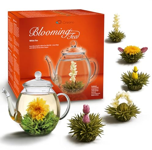 Creano® Teeblumen Geschenkset - Erblühtee mit 500ml Glaskanne & 6x Weißtee | Erblühtee Frühjahrslese - 7 teilig - Geschenk zu Weihnachten