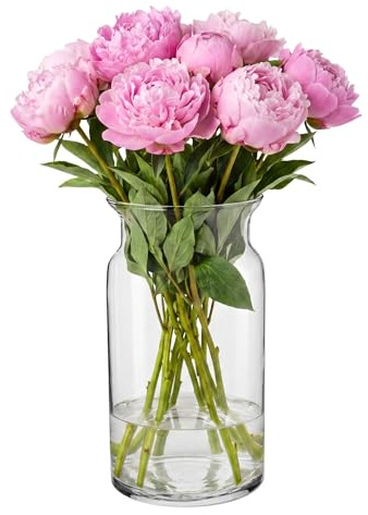 TREND FOR HOME Große Glasvase Hoch 29.5 cm Blumenvase Gross Bodenvase Glas Große Vase Amaryllis Vase Tulpen Runde Glasvase Zylinder Durchsichtig Vasen für Boden | Ø 16 cm | Sunflower