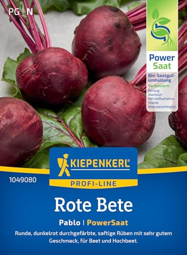 Kiepenkerl Rote Betesamen Pablo 1049080, Gemüsesaat | Runde, Vielseitig Verwendbar, Rübensamen 5-6 laufende Meter