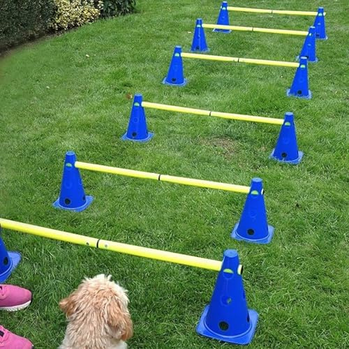 LionSports praktisches Steckhürdenset für Fußball, Hundesport, Pferdesport – Ideales Trainingszubehör, Fußballtraining, Pferd und Hunde - Profi Pylonen Set mit Hürden - Hindernisse Kegel