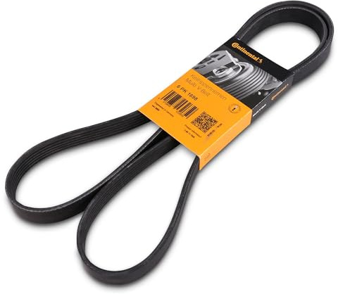 1x Original CONTITECH Keilrippenriemen