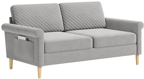 Vesgantti Samt Sofa 2 Sitzer, 164cm Sofa mit beidseitigen Taschen, Couch 2 Sitzer mit 2 Kissen und Armlehnen, Doppelsofa für Wohnzimmer, Schlafzimmer, Büro, Montage ohne Werkzeug 164L*76D*85H cm