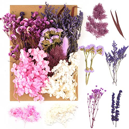SOSPIRO Natürliche Getrocknete Blumen,Trockenblumen zum Basteln