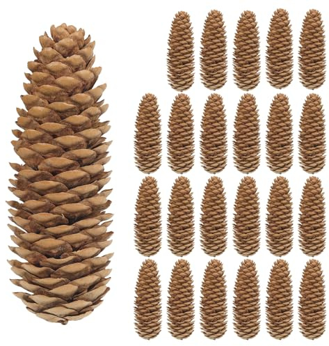 Larber 24 Stück Tannenzapfen Groß,9,5-13cm Fichtenzapfen Kiefernzapfen für Adventskranz Pinienzapfen Deko Weihnachtsbaum Weihnachten Tisch