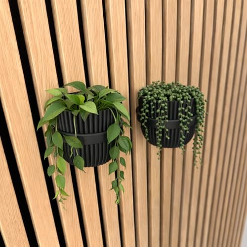 Vleugel Akustikpaneel 2X Kleiner Ring + 2X Kleiner Topf