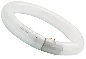SYLVANIA T9 Leuchtstoff-Lampe, G10q Sockel, 22 Watt / 1400 Lumen entspr. ca: 22 Watt, Warm White (3000K), 16000h Lebensdauer, Ring Form, 29mm Durchmesser, Weißer Kolben, dimmbar, 1er Pack