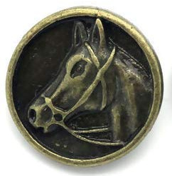 10 Metallknöpfe Ösenknöpfe 15mm Antik Bronze antikbronze Motiv Tier Pferd zum Aufnähen Annähen basteln scrapbooking Jackenknöpfe Mantelknöpfe