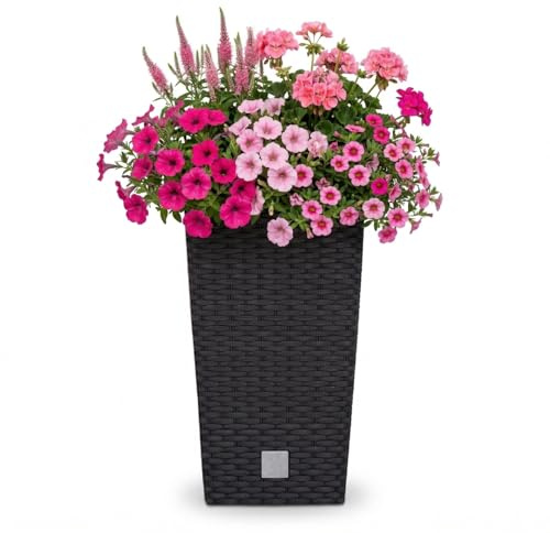 Prosperplast Blumentopf in Rattan-Optik Pflanzkübel mit Einsatz | 32,5 x 32,5 x 61 cm | anthrazit | wetterfest & UV-beständig | aus robustem Kunststoff | für Innen- und Außenbereich