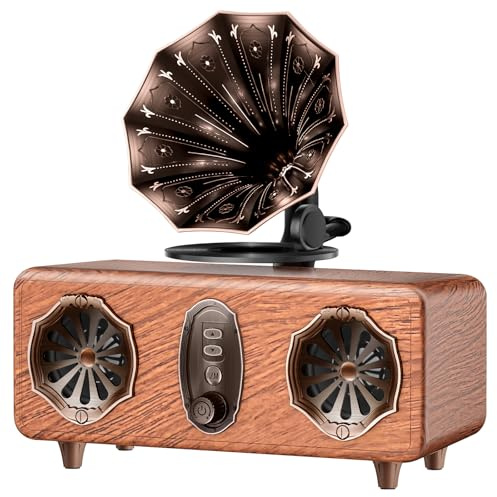 FREEFISH Retro Radio Bluetooth Lautsprecher, Vintage FM Radio, 5W Lautsprecher, Bluetooth 5.3, Unterstützung TF Karte/AUX/USB, 1800mAh Akku (AS36)