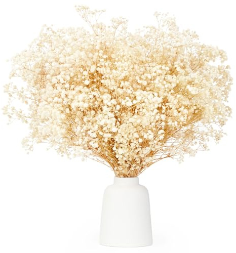 KAOHONG Schleierkraut Getrocknet Trockenblumen deko über 3500 Blütenknospe Weiß Natürlich Gypsophila Trockenblumen für DIY-Kränze, Zuhause, Hochzeit, Tisch, Vasen Dekoration, 7-285/40